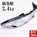 楽天市場 送料無料 新巻鮭の姿 3 7kg 味を引き立てる塩気と 身が引き締まりしっとりとしたサケ本来の味をお楽しみください 焼き魚やしゃけおにぎりも美味しい 北海道グルメ食品 魚介類 シーフード サケ 新巻鮭 北海道の海鮮お取り寄せ かに太郎