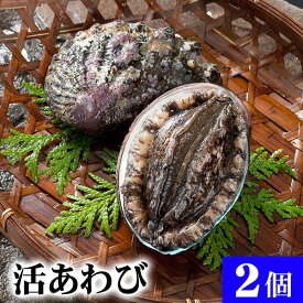 楽天市場 活アワビの通販 楽天市場 活アワビの通販