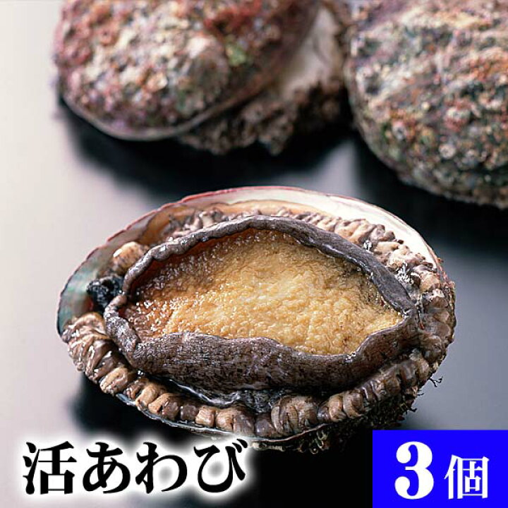 楽天市場 北海道 活蝦夷あわび 3個入りで合計300g前後 アワビが活きたままで届きます 活あわびだからこそお刺身 肝醤油 肝刺し 水貝 煮物 鉄板で あわびステーキで食べられます Awabi 貝 アワビ 北海道の海鮮お取り寄せ かに太郎 楽天市場 北海道 活蝦夷あわび 3個入りで合計300g前後 アワビが活きたままで届きます 活あわびだからこそお刺身 肝醤油 肝刺し 水貝 煮物 鉄板で あわびステーキで食べられます Awabi 貝 アワビ 北海道の海鮮お取り寄せ かに太郎