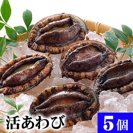 楽天市場 活アワビの通販