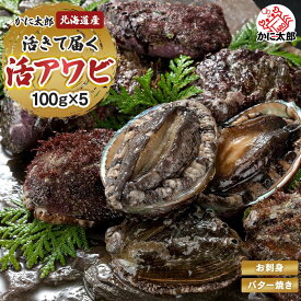 北海道産 活蝦夷鮑　5個入りで合計500g前後　エゾアワビ 活きたままで届きます 活あわび だからこそお刺身 肝醤油 肝刺し 水貝 煮物 鉄板 あわびステーキで食べられます awabi 活アワビ