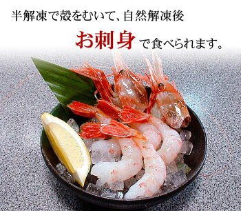 楽天市場 送料無料 特大子持ち ぼたんえび 2lサイズ 1kg 13 16尾入 ボタンエビ特大サイズ 卵入り ギュッと締まった身の甘みと 海老 味噌も絶品 お刺身用 お寿司用のぼたん海老 ギフト食品 北海道の海鮮お取り寄せ かに太郎
