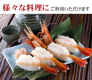 楽天市場 送料無料 特大子持ち ぼたんえび 2lサイズ 1kg 13 16尾入 ボタンエビ特大サイズ 卵入り ギュッと締まった身の甘みと 海老 味噌も絶品 お刺身用 お寿司用のぼたん海老 ギフト食品 北海道の海鮮お取り寄せ かに太郎