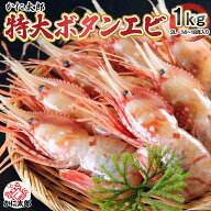 特大 子持ち ぼたんえび 2Lサイズ 1kg (14〜18尾入) ボタンエビ 卵 海老味噌 ぼたん海老 ボタン海老 牡丹…