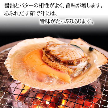 楽天市場 ホタテ片貝 8枚入り 小型 冷凍 ほたてバター醤油焼きが旨い バーベキュー 網焼き用帆立 香ばしい香りが食欲をそそります 網焼き用に片方の 帆立の貝殻をはずしてあります 北海道グルメ食品 魚介類 シーフード 貝 ホタテ 北海道の海鮮お取り寄せ かに太郎