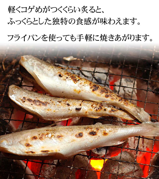 2253円 【72%OFF!】 氷下魚 こまい 一夜干1kg M 30尾前後 北海道 根室産天日干コマイ出荷元:北海道四季工房 2253円 【72%OFF!】 氷下魚 こまい 一夜干1kg M 30尾前後 北海道 根室産天日干コマイ出荷元:北海道四季工房