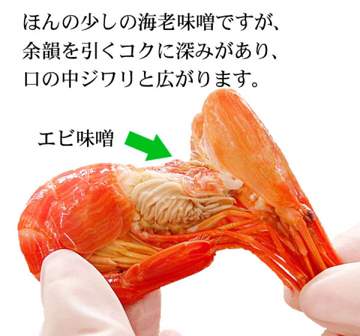 楽天市場 未冷凍 北海シマエビ Mサイズ 500g前後 30 40尾入り 北海道産 しまえびは海老味噌も美味しく食べられます 北海道の貴重な縞海老です 海老通販 グルメ食品 魚介類 シーフード エビ 北海シマエビ 北海道の海鮮お取り寄せ かに太郎 楽天市場 未冷凍 北海シマエビ Mサイズ 500g前後 30 40尾入り 北海道産 しまえびは海老味噌も美味しく食べられます 北海道の貴重な縞海老です 海老通販 グルメ食品 魚介類 シーフード エビ 北海シマエビ 北海道の海鮮お取り寄せ かに太郎