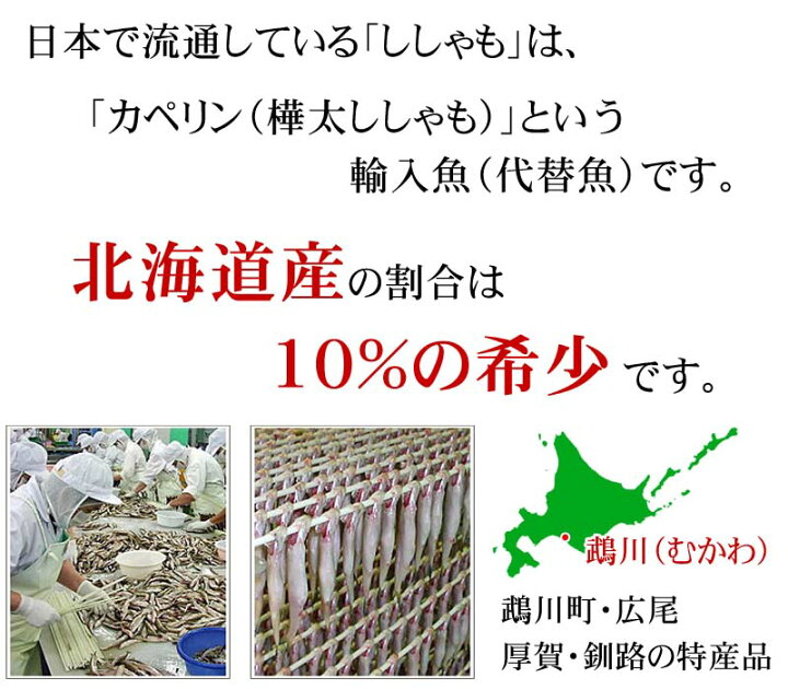 楽天市場】北海道産本ししゃも オス 30尾入り(雄 中サイズ)潮風と天日で干した北海道鵡川・厚賀・広尾・釧路産 柳葉魚。脂のりも良く、ご飯のおかず、お酒のおつまみに最適な干物柳葉魚、 干物 シシャモギフト) : 北海道の海鮮お取り寄せ かに太郎 楽天市場】北海道産本ししゃも オス 30尾入り(雄 中サイズ)潮風と天日で干した北海道鵡川・厚賀・広尾・釧路産 柳葉魚。脂のりも良く、ご飯のおかず、お酒のおつまみに最適な干物柳葉魚、 干物 シシャモギフト) : 北海道の海鮮お取り寄せ かに太郎