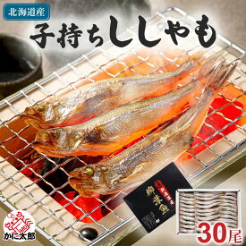 子持ち 本シシャモ　メス　30尾入り(中サイズ)　北海道鵡川・広尾・厚賀・釧路産 ししゃも 脂のりも良く、ご飯のおかずに最適 干物 柳葉魚 干し魚 ぷちぷち卵の食感も味わえます 魚介類・ シシャモ ギフト