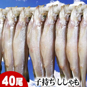 qVV@X@40(TCY)@kCELEEHYłB̂ǂAт̂ɍœKȊtABՂՂ̐H킦܂Bk