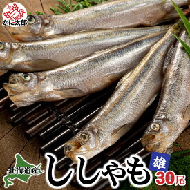 北海道産 本ししゃも　オス　30尾入り(雄　中サイズ)潮風と天日で干した北海道鵡川・厚賀・広尾・釧路産 柳葉魚 脂のりも良く、ご飯のおかず、お酒のおつまみに最適な干物 焼き魚 シシャモ お中元