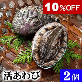 [楽天スーパーsale] 北海道 活蝦夷鮑　2個入りで合計200g前後　えぞアワビが活きたままで届きます。活あわびだからこそお刺身、肝醤油、肝刺し、水貝、煮物、鉄板であわびステーキで食べられます。アワビ　awabi