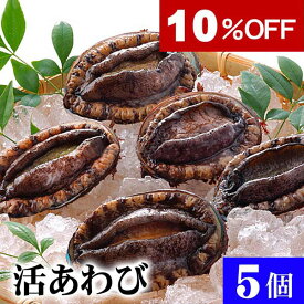 [楽天スーパーsale] 北海道産 活蝦夷鮑　5個入りで合計500g前後　エゾアワビが活きたままで届きます。活あわびだからこそお刺身、肝醤油、肝刺し、水貝、煮物、鉄板であわびステーキで食べられます。awabi　水貝 活アワビ