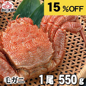 [yVX[p[SALE] ^ уKj@550`600g@1@{CⓀ kCY̖уKjłBтɂ̑햡łJjXƂɐgƗ߂Ăオ肭BI݂ ɒʔ Jj