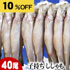 [楽天お買い物マラソン] 子持ちシシャモ　メス　40尾入り(小サイズ)　北海道鵡川・広尾・厚賀・釧路産ししゃもです。脂のりも良く、ご飯のおかずに最適な干物柳葉魚、干し魚。ぷちぷち卵の食感も味わえます。北海道グルメ食品 魚介類・シーフード シシャモ 子持ちししゃも