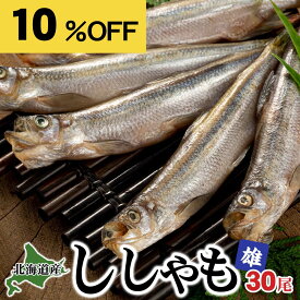 [楽天お買い物マラソン] 北海道産 本ししゃも　オス　30尾入り(雄　中サイズ)潮風と天日で干した北海道鵡川・厚賀・広尾・釧路産 柳葉魚 脂のりも良く、ご飯のおかず、お酒のおつまみに最適な干物 焼き魚 シシャモ ギフト