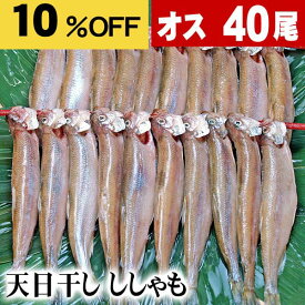 [楽天お買い物マラソン] シシャモ　オス　40尾入り(雄　小サイズ)潮風と天日で干した北海道鵡川・厚賀・広尾・釧路産ししゃも。脂のりも良く、ご飯のおかず、お酒のおつまみに最適な干物柳葉魚、干し魚。北海道グルメ食品 魚介類・シーフード 加工品 干物 シシャモ(ギフト)