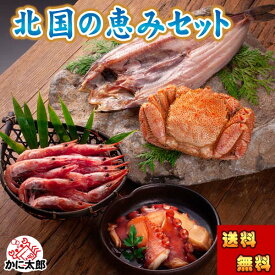 (送料無料) 北国の恵みセット（毛ガニ エビ ホッケ タコ）　北海道の蟹・海鮮ギフト 海鮮　北海道 お取り寄せ 高級詰め合わせ