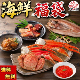 送料無料 海鮮福袋 毛ガニ ズワイガニ 松前漬け タコ ホッケ イクラ 福袋 海鮮セット 詰め合わせ 毛がに 毛蟹 ずわいがに 松葉ガニ かに カニ 蟹 かずのこ 数の子 たこ 蛸 ほっけ いくら 醤油漬け 北海道 海鮮 グルメ 通販 お取り寄せ 贈答用 ギフト お歳暮