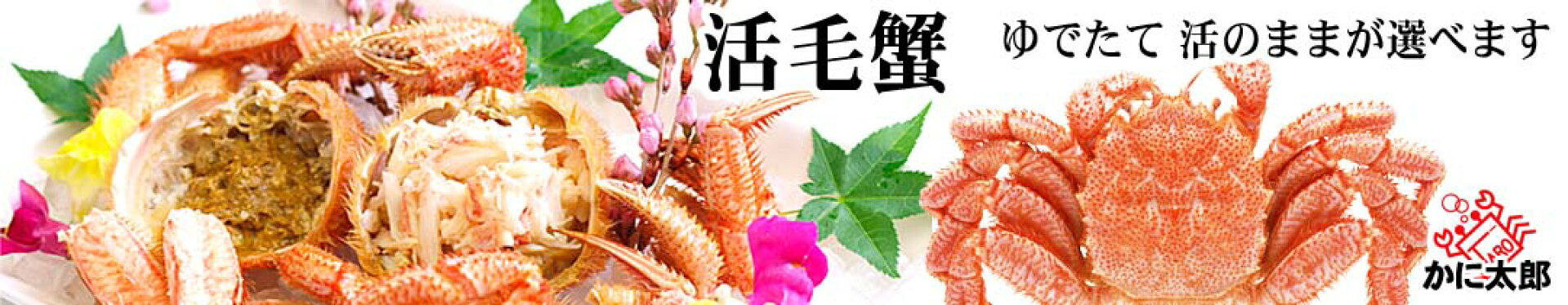 活毛ガニ
