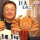 楽天市場 部位で選ぶ カニ味噌 海老味噌 北海道の海鮮お取り寄せ かに太郎