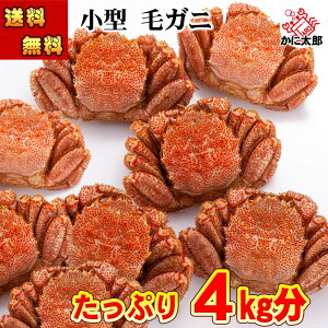 () ъI 1114ŁAv4kgO@{CⓀ@1280g`360g̏^TCY уKj Hו@kCY тɂ̑햡łJjX ɒʔ I݂ kC O Hi