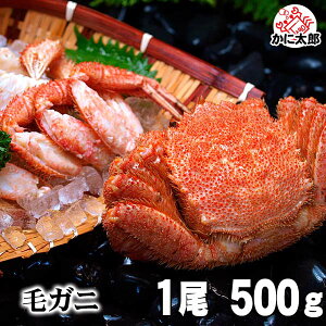 毛蟹 500g前後×1尾入り 中型 ボイル冷凍 北海道産の毛ガニです。毛がにの醍醐味でもあるカニ味噌とかに身と絡めて召し上がれ。かに通販 蟹みそ 北海道グルメ食品 魚介類・ カニ 毛ガニ
