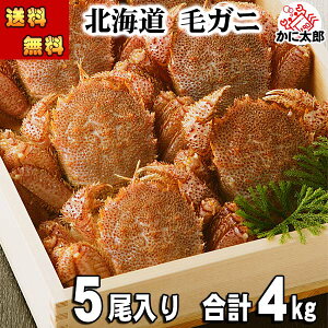 () ъI 5ŁAv4kgO@{CⓀ@1̕800g̓TCY@kCY тɂ̑햡łJjX ɐg ߂Ăオ肭 ɒʔ I݂ kC 