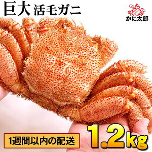 (TCY) kCY@ъI@1.2kgO@уKj̔𖡂키ȂAⓀi①j Jj т 햡łJjX уKjȂ炩ɂ̂hgAĂKjHׂ