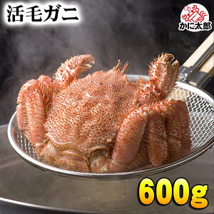 kCY@уKj@600gO ^@уKj̔𖡂키ȂAⓀi①j I 䥂ł т 햡łJjX уKjȂ炩ɂ̂hgAĂKjHׂ