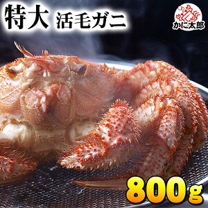 (TCY) kCY@ъI@800gO@уKjhg̔𖡂키ȂAⓀi①j ъI 䥂ł т 햡łJjX уKj ɂ̂hg т ʔ k