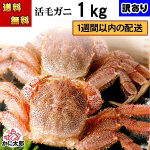 () kCY󂠂@ъI@2`3ōv1kgO(傫ꂼقȂ܂) 킯ił ܂ т Ⓚ(①)ŐVNȊуKj̎|͂ ɖX Jj 