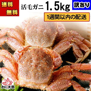 () kCY󂠂@ъI@2`4ōv1.5kgO(傫ꂼقȂ܂) 킯ił ܂ т Ⓚ(①)ŐVNȊуKj̎|͂ ɖX Jj 