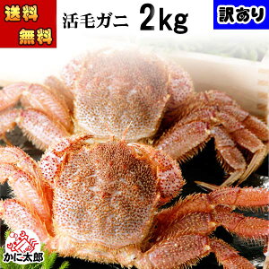 () kCY󂠂@ъI@3`5ōv2kgO(傫ꂼقȂ܂) 킯ił ܂ т Ⓚ(①)ŐVNȊуKj̎|͂ ɖX Jj 