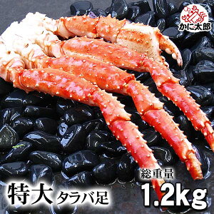  {^oKj @΂ r@1.2`1.3kgO@7LTCY@{CⓀ@ΊIp̂ɑłB^oI̐g͊Â݂AɔтAĂKj ɒʔ Jj