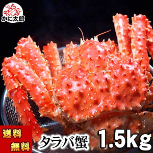 (��������) �^���o�K�j�@����΂��� �p�@1.5kg�O�� ���^�@�{�C���Ⓚ(�k�C���E���V�A����)�@����ΊI �����p �J�j�p ���ɔ� �Ă��K�j���������� �g�̓��肢�� ���ɑ� �J�j �ʔ� ���� �k�C�� 