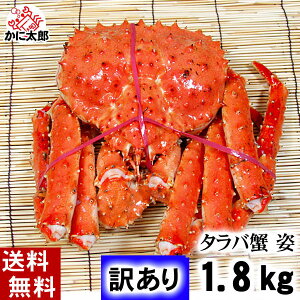 タラバガニ 訳ありの人気商品 通販 価格比較 価格 Com