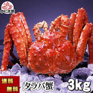 () ^oKj@΂ p@3.0kgO@^@{CⓀ(kCEVA)@I p Jjp ɔ ĂKj g̓肢 ɑ Jj ʔ   M