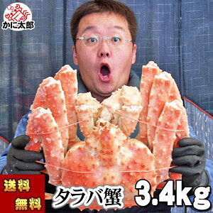 () ^oKj@ ΂ p@3.4kgO@^@{CⓀ(kCEVA)@ΊI p Jjp ɔ ĂKj g̓肢 ɑ Jj ʔ  