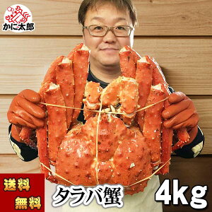 () ^oKj@΂ p@4.0kgO@@{CⓀ(kCEVA)@ΊI p Jjp ɔ ĂKj g̓肢 ɑɑ Jj ʔ 