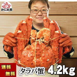 () ^oKj@΂ p@4.2kgO@@{CⓀ(kCEVA)@ΊI p Jjp ɔ ĂKj g̓肢 ɑ Jj ʔ  kC 