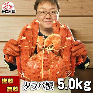 () ^oKj@΂ p@@5.0kgO@{CⓀ(kCEVA)@ΊI p Jjp ɔ ĂKj g̓肢 ɑɑ Jj ʔ  