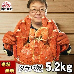 () ^oKj@΂ p@@5.2kgO@{CⓀ(kCEVA)@ΊI p Jjp ɔ ĂKj g̓肢 ɑɑ Jj ʔ  