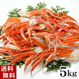 (送料無料) 訳あり ズワイガニ かに足・肩 5kg前後 ボイル冷凍　わけありのズワイガニが食べ放題！かに飯や、焼きガニも美味しい。カニ福袋 ずわい蟹のボイル脚/松葉ガニ 北海道グルメ 魚介類・セット・詰め合わせ(ギフト)