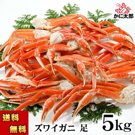 (送料無料) 訳あり ズワイガニ かに足 肩　5kg前後 ボイル冷凍　わけあり ズワイガニ 食べ放題 かに飯や 焼きガニも美味しい カニ福袋 ずわい蟹 ボイル脚 松葉ガニ 北海道 グルメ 魚介類・セット・詰め合わせ 通販 お中元