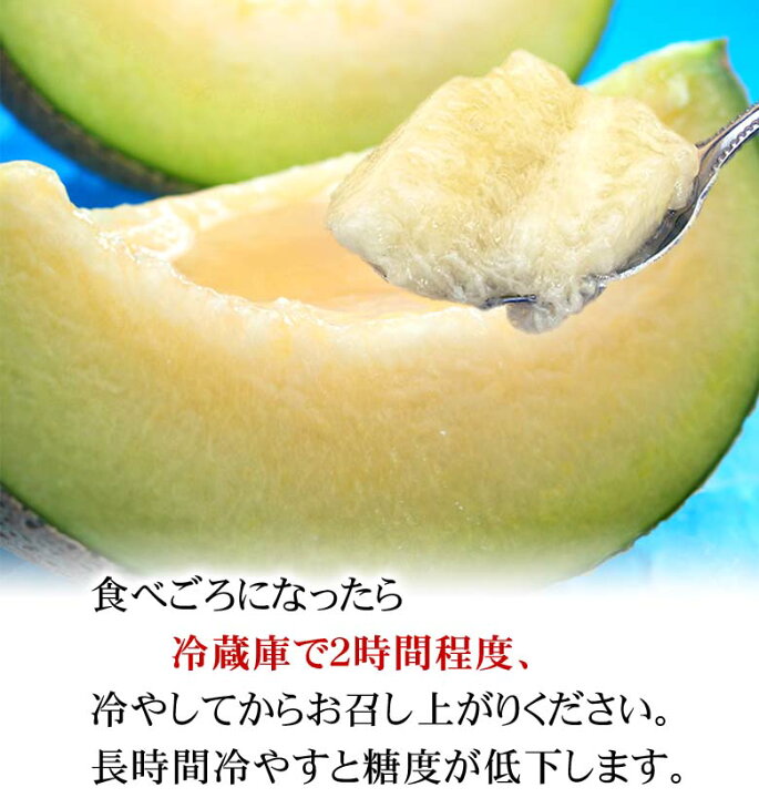 楽天市場 送料無料 青肉メロン 2kg前後 2玉入り 大玉サイズ 極甘 ジューシーな汁があふれます 果肉が軟らかい北海道産青肉メロン 旬のフルーツグルメ くだものギフト お中元 北海道の海鮮お取り寄せ かに太郎