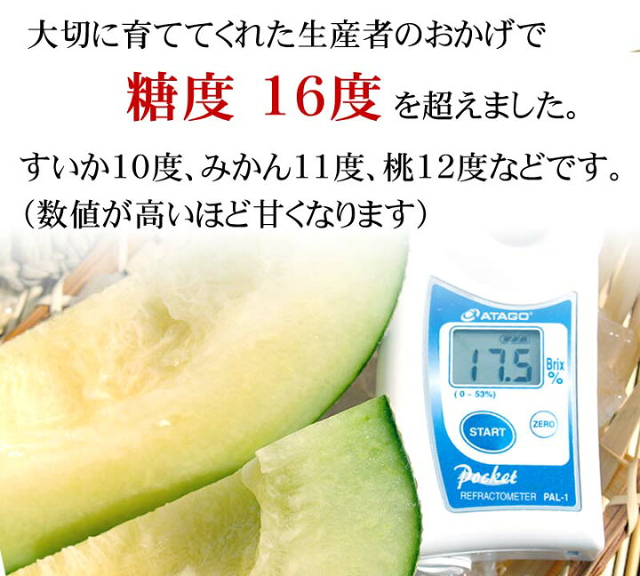 楽天市場 送料無料 青肉メロン 2kg前後 2玉入り 大玉サイズ 極甘 ジューシーな汁があふれます 果肉が軟らかい北海道産青肉メロン 旬のフルーツグルメ くだものギフト お中元 北海道の海鮮お取り寄せ かに太郎