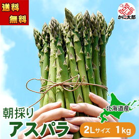 予約商品(送料無料)2Lサイズ　グリーンアスパラガス　1kg前後　アスパラ 北海道 産地直送 美味しい旬 アスパラガス 北海道産（美瑛 名寄 旭川） ギフト用 あすぱら アスパラベーコンなど料理多彩 野菜 朝採り 新鮮
