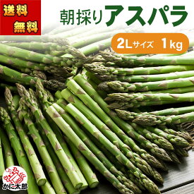 予約商品(送料無料)2Lサイズ　グリーンアスパラガス　1kg前後　美味しい旬の 北海道産（美瑛産　名寄産）あすぱら 産地直送 アスパラが食べられるのは春だけ アスパラベーコンなど料理多彩 グリーンアスパラガス ギフト用 野菜