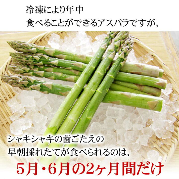 楽天市場 送料無料 超極太３lサイズ グリーンアスパラ 1kg前後 美味しい旬の北海道産 美瑛産 名寄産 あすぱらを産地直送 アスパラ ガスが食べられるのは春だけ アスパラベーコンなど料理多彩 北海道グルメ食品 野菜 きのこ アスパラガス グリーンアスパラガス